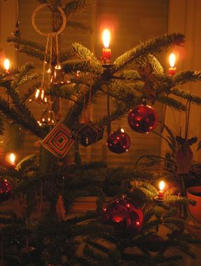 Weihnachtsbaum